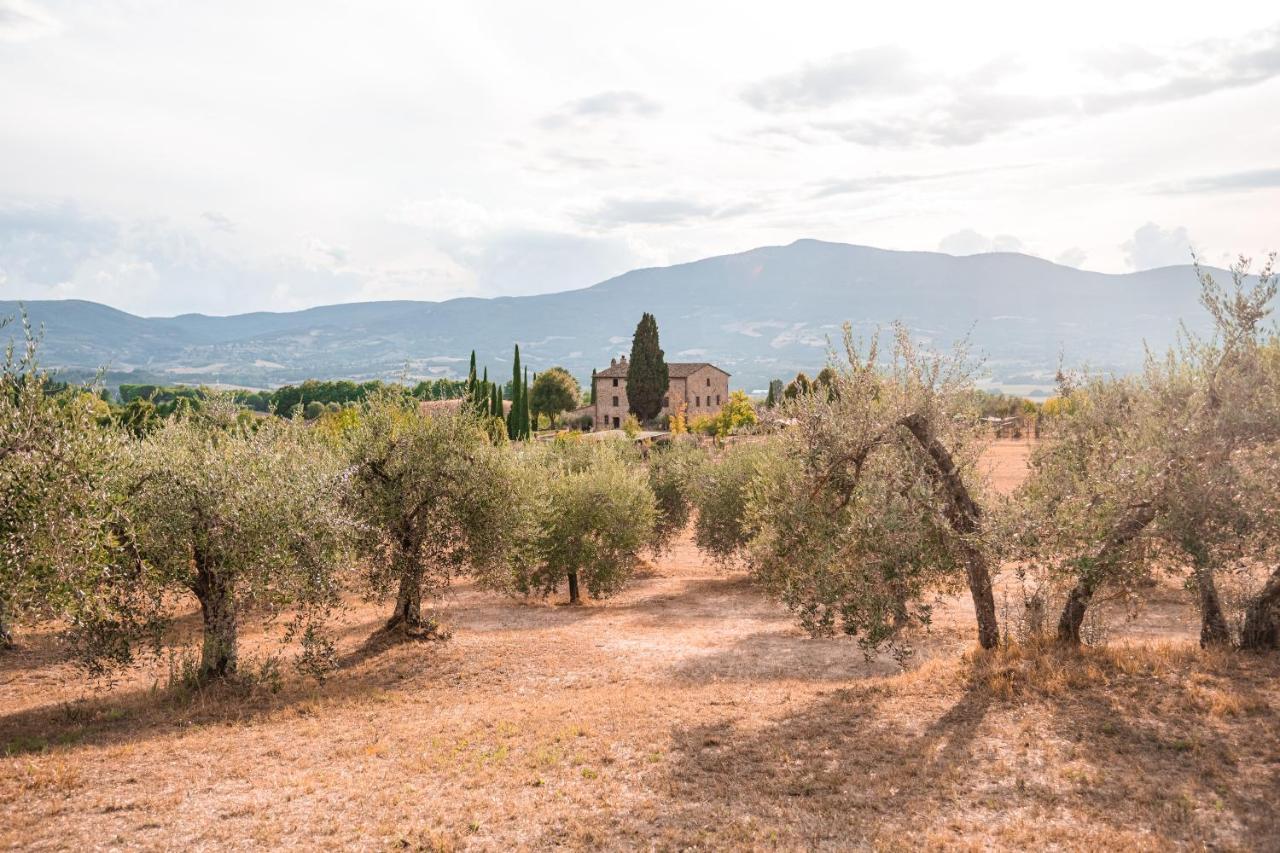 San Carlo A La Molinella Pensionat Città della Pieve Eksteriør billede