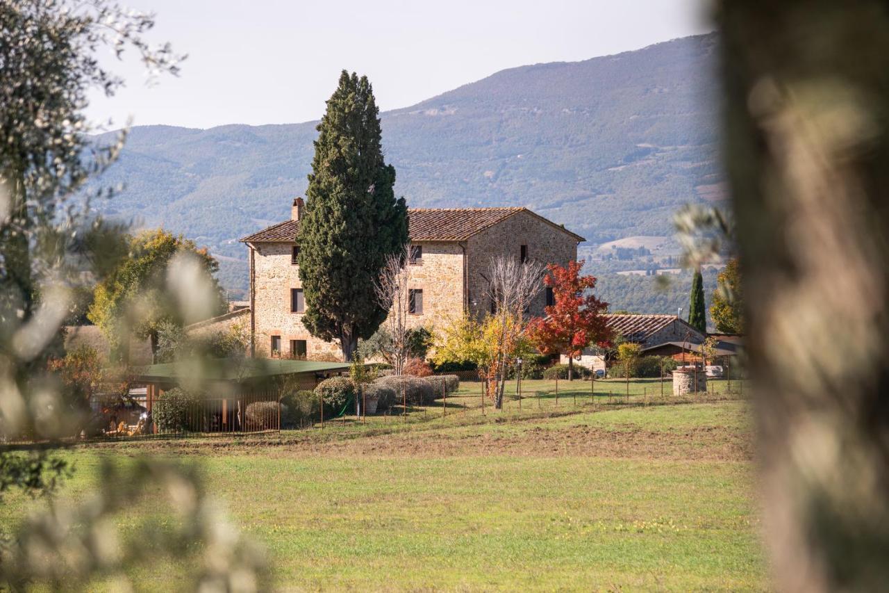 San Carlo A La Molinella Pensionat Città della Pieve Eksteriør billede