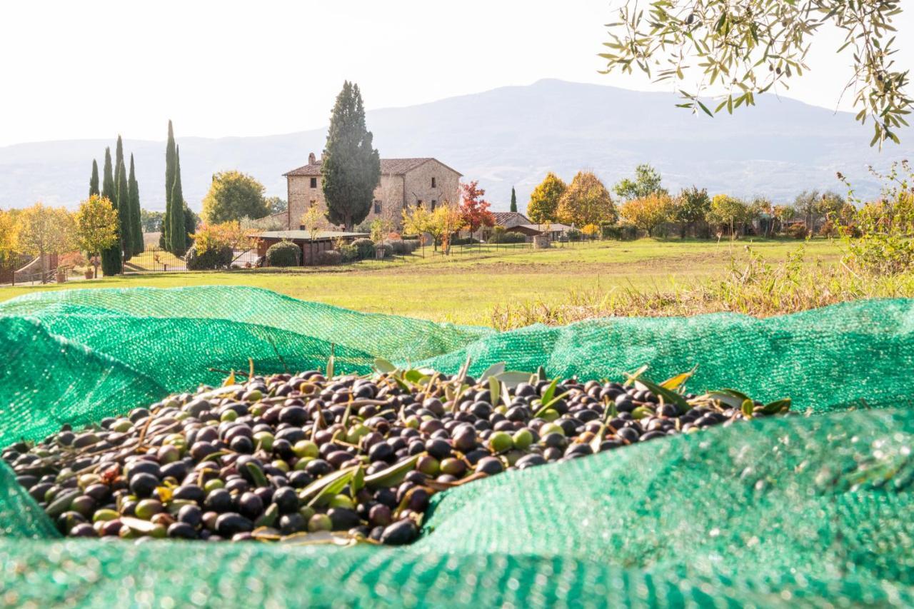 San Carlo A La Molinella Pensionat Città della Pieve Eksteriør billede