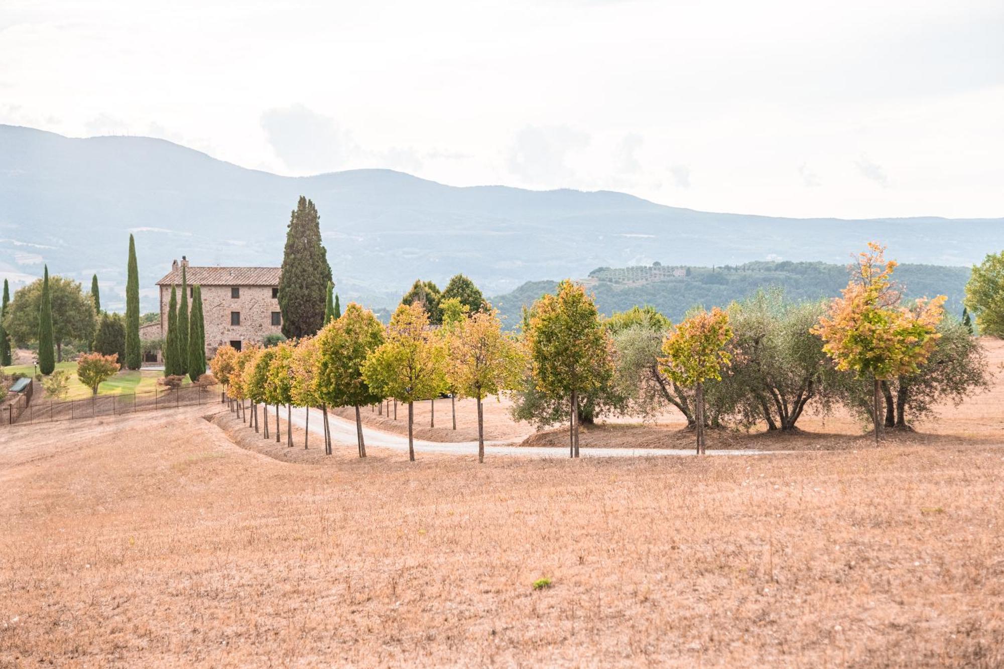 San Carlo A La Molinella Pensionat Città della Pieve Eksteriør billede