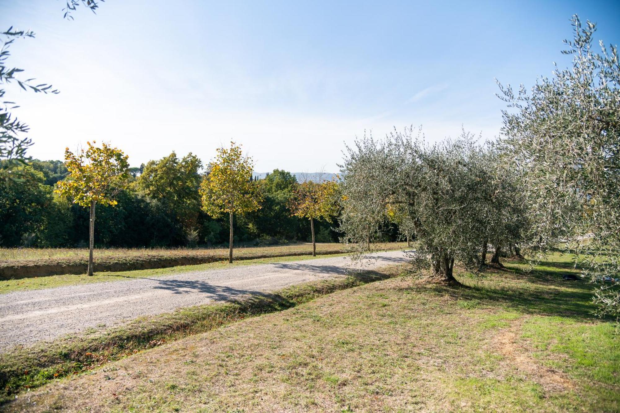 San Carlo A La Molinella Pensionat Città della Pieve Eksteriør billede