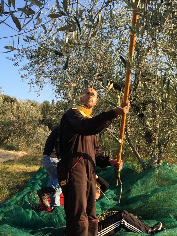 San Carlo A La Molinella Pensionat Città della Pieve Eksteriør billede